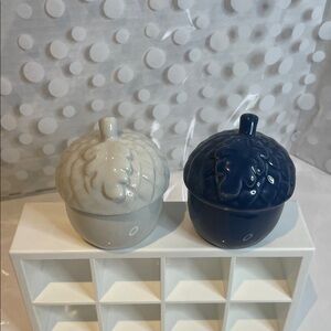 ⚡️5/$25-Woodsy Ceramic blue & white 🌳Acorn salt & pepper shakers